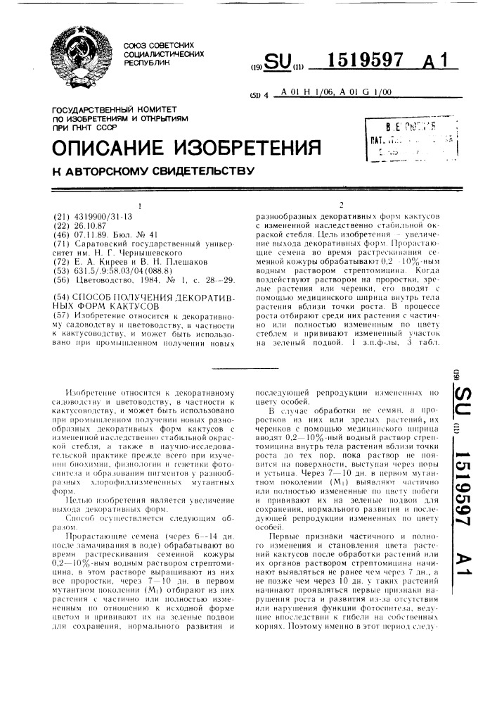 Способ получения декоративных форм кактусов (патент 1519597)