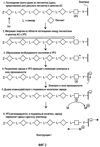 Солнечные элементы, включающие в себя цепочки для аккумуляции света (патент 2264677)