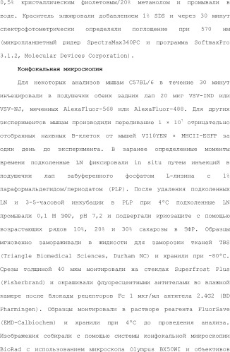 Нацеливание на антигенпрезентирующие клетки иммунонанотерапевтических средств (патент 2497542)