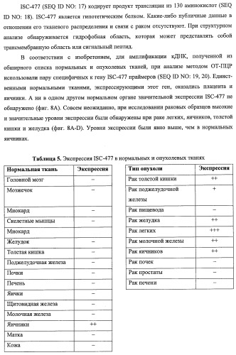 Идентификация опухолевых антигенов для диагностики и терапии (патент 2485974)
