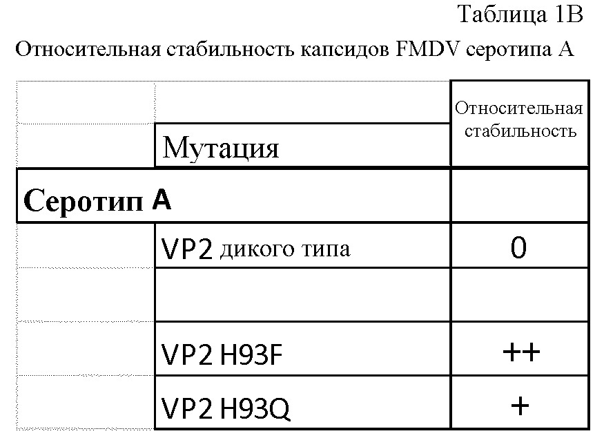 Стабилизированные капсиды fmdv (патент 2663004)