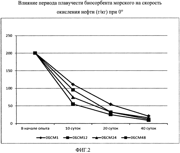 Способ очистки от нефти и нефтепродуктов морских и солоноватоводных экосистем в условиях высоких широт (патент 2571180)