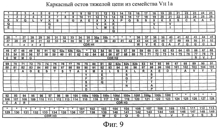 Способы модификации антител и модифицированные антитела с улучшенными функциональными свойствами (патент 2540150)