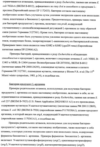 Способ получения l-треонина с использованием бактерии, принадлежащей к роду escherichia, модифицированной таким образом, что в ней нарушена способность к образованию ворсинок типа &quot;керли&quot; (патент 2338782)