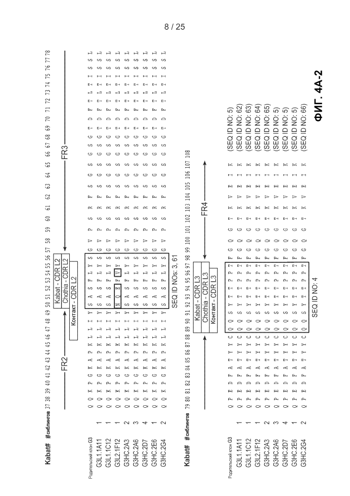 Антитела против полиубиквитина и способы их применения (патент 2603093)