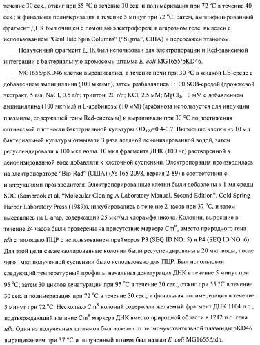 Способ получения l-аминокислот с использованием бактерии, принадлежащей к роду escherichia (патент 2312893)