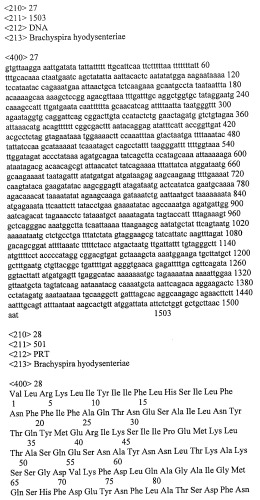 Гены и белки brachyspira hyodysenteriae и их применение (патент 2440369)