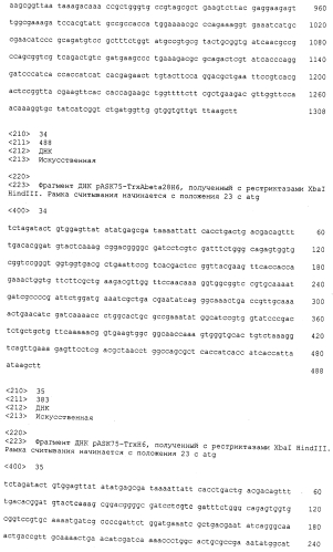 Мутеины липокалина 2 человека (lcn2, hngal) с аффинностью для определенной мишени (патент 2564125)