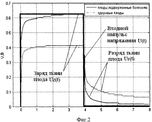 Способ прогнозирования пригодности плодов к длительному хранению (патент 2387982)