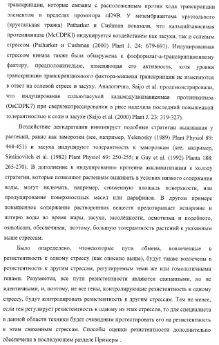 Изолированные полипептиды, кодирующие их полинуклеотиды, экспрессирующие их трансгенные растения и способы их использования (патент 2425151)