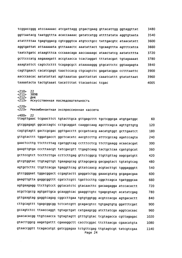 Элементы рекомбинантной днк для экспрессии рекомбинантных белков в клетке-хозяине (патент 2619161)