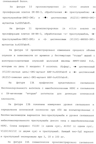 Антитела, сконструированные на основе цистеинов, и их конъюгаты (патент 2412947)