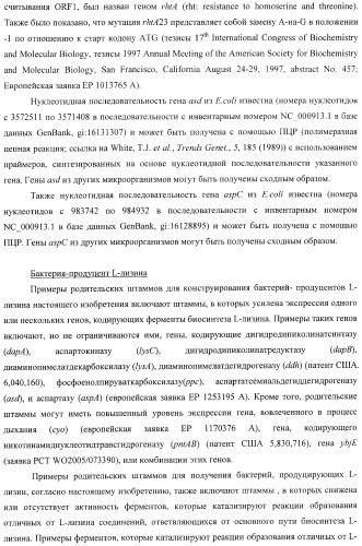 Бактерия, принадлежащая к роду pantoea, - продуцент l-аспартата или метаболита, являющегося производным l-аспартата, и способ получения l-аспартата или метаболита, являющегося производным l-аспартата (патент 2411289)