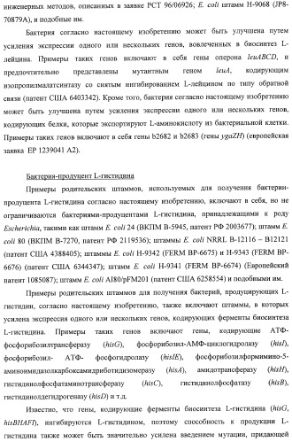 Способ получения l-треонина с использованием бактерии, принадлежащей к роду escherichia, в которой инактивирован ген msba (патент 2392313)