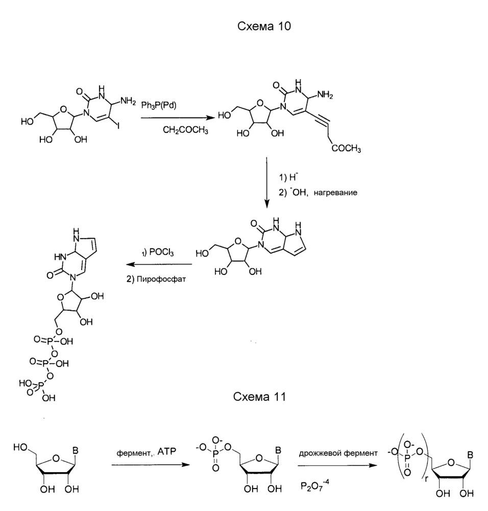 Модифицированные нуклеозиды, нуклеотиды и нуклеиновые кислоты и их применение (патент 2648950)