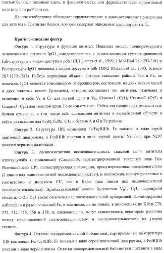 Антитело, содержащее fc-вариантную часть (варианты), фармацевтическая композиция, содержащая антитело, и способ лечения млекопитающего (патент 2390527)
