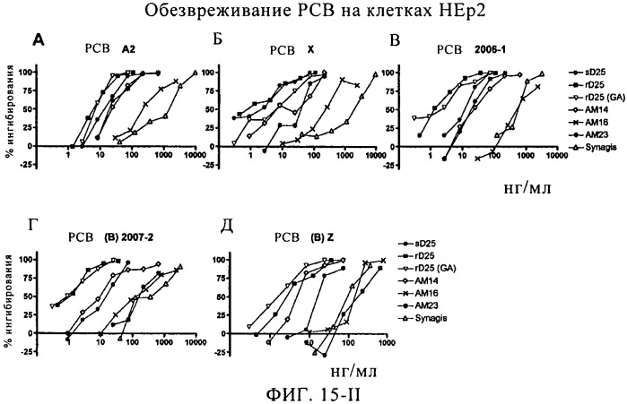 Рсв-специфичные связывающие молекулы и средства для их получения (патент 2527067)
