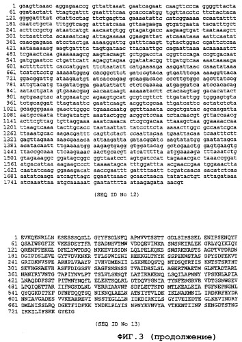 Экспрессирующая система (патент 2385348)