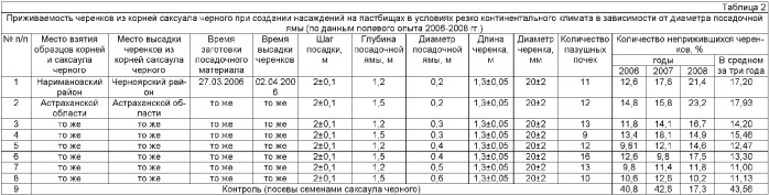 Способ создания насаждений саксаула черного в условиях резко континентального климата (патент 2374807)