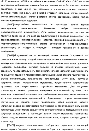 Генетически кодируемые флюоресцентные кумариновые аминокислоты (патент 2473690)