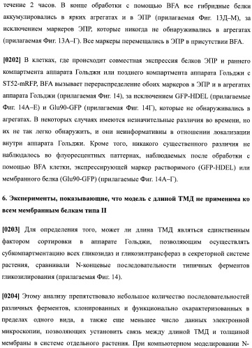 Набор последовательностей для таргетинга экспрессии и контроля посттрансляционных модификаций рекомбинантного полипептида (патент 2481399)