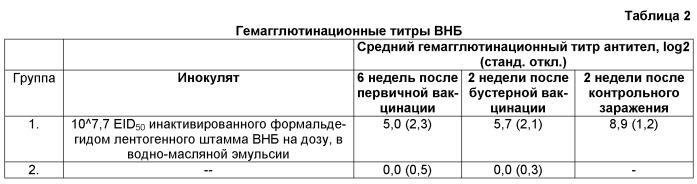 Инактивированная вакцина для птицы (патент 2545530)