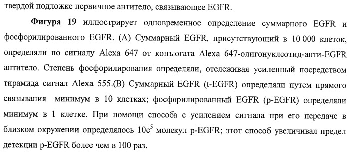 Чипы на основе антител для определения множественных трансдукторов сигналов в редких циркулирующих клетках (патент 2442171)