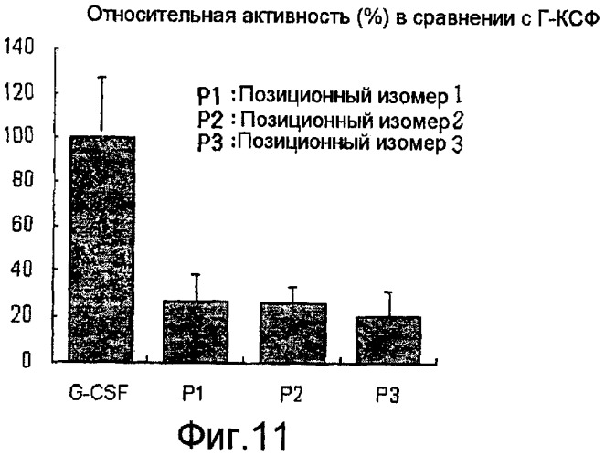 Конъюгат полиэтиленгликоля-г-ксф (патент 2423133)