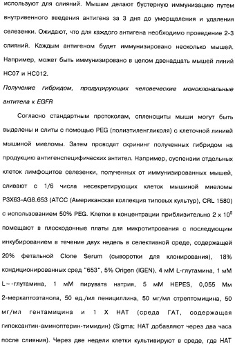 Человеческие моноклональные антитела к рецептору эпидермального фактора роста (egfr), способ их получения и их использование, гибридома, трансфектома, трансгенное животное, экспрессионный вектор (патент 2335507)