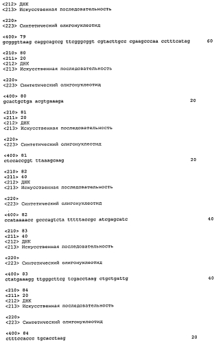 Живые аттенуированные вакцины (патент 2556813)