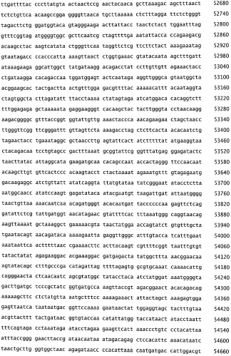Бактериофаг, обладающий активностью против pseudomonas aeruginosa, белки бактериофага и способы их применения (патент 2580248)