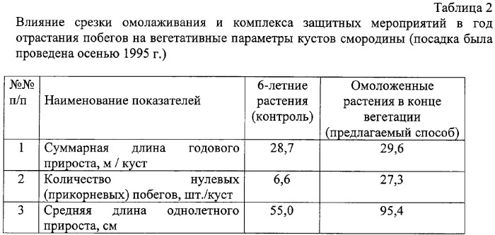 Способ защиты смородины от вредителей и болезней (патент 2312500)