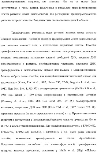 Растения с повышенной урожайностью и способ их получения (патент 2377306)