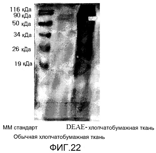 Повязка для лечения кожных заболеваний и облегчения симптомов кожных болезней, вызывающих экссудацию белков крови (патент 2524628)