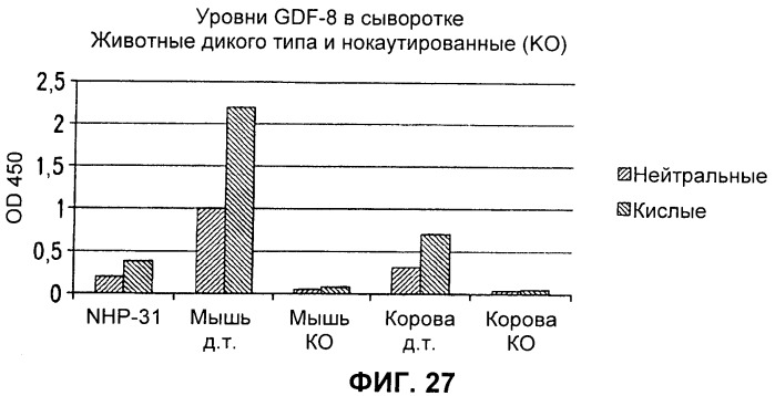 Антитела к gdf8 и их применения (патент 2447084)