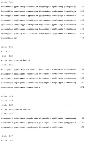 Промоторы lactococcus и их применение: (патент 2495129)