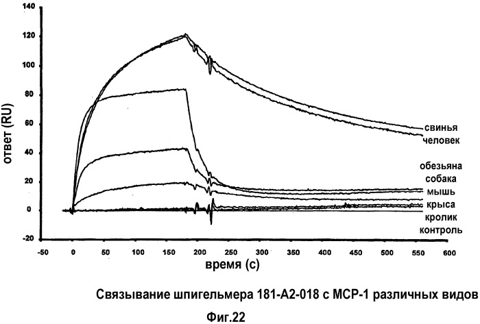 Связывающая мср-1 нуклеиновая кислота и ее применение (патент 2542973)