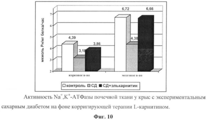 Способ лечения нефроангиопатии при аллоксановом диабете у экспериментальных животных (патент 2372898)