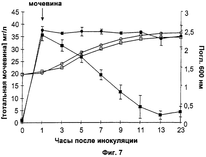 Модуляция деградации мочевины в винных дрожжах (патент 2363733)