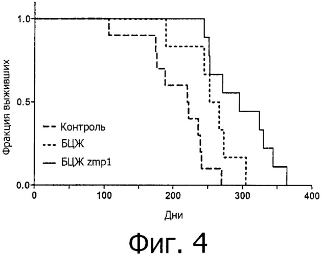 Вакцина mycobacterium tuberculosis (патент 2473365)