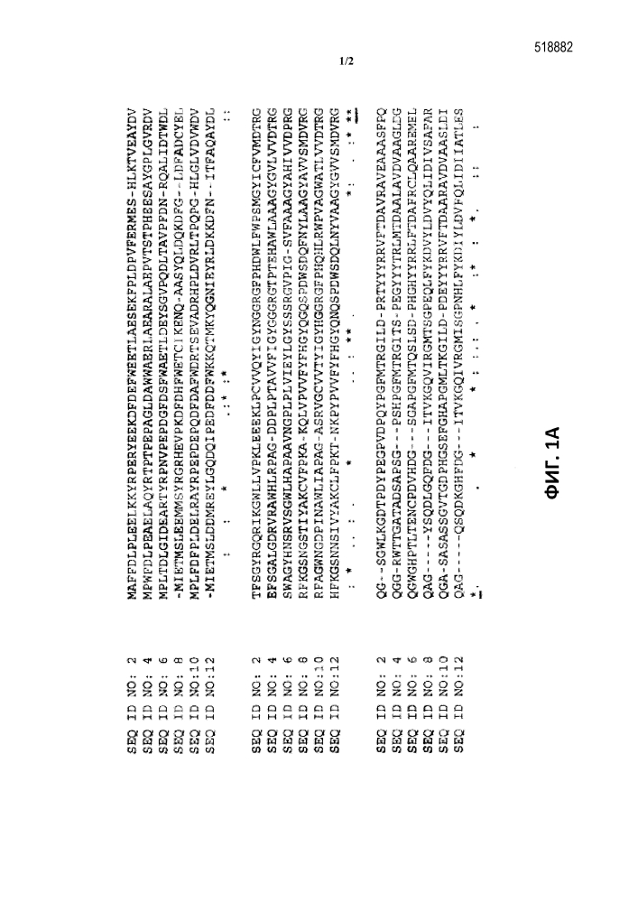 Ферменты, пригодные для получения перкислот (патент 2644336)