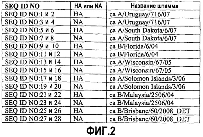Варианты гемагглютинина и нейрамидазы вируса гриппа (патент 2523587)