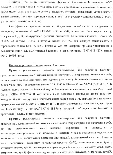 Способ получения l-аминокислоты с использованием бактерии, принадлежащей к роду escherichia (патент 2395579)