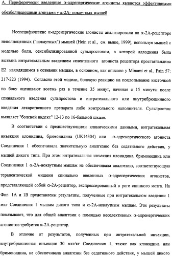 Способы и композиции для снятия боли (патент 2329062)
