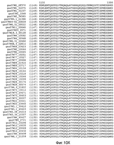 Мутантные антигены gas57 и антитела против gas57 (патент 2471497)