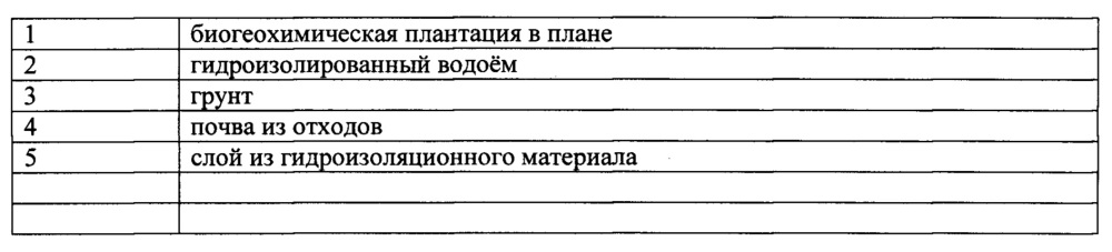 Способ переработки твёрдых измельчённых бытовых и (или) производственных отходов на биогеохимической плантации (патент 2640875)