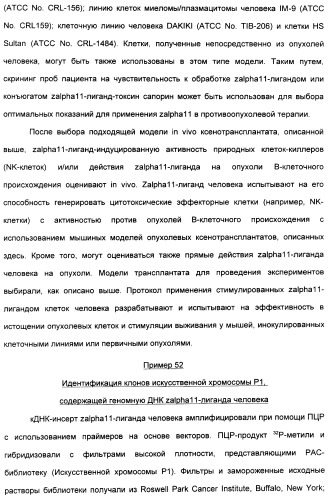 Выделенный полипептид, связывающий рецептор zalpha11-лиганда (варианты), кодирующий его полинуклеотид (варианты), вектор экспрессии (варианты) и клетка-хозяин (варианты) (патент 2346951)