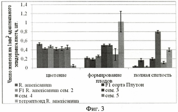 Способ оценки функциональной активности пельтатных железок (патент 2455818)