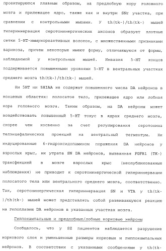 Комбинация агонистов альфа 7 никотиновых рецепторов и антипсихотических средств (патент 2481123)