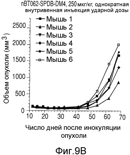 Способы улучшения направленного воздействия на cd138-экспрессирующие опухолевые клетки и агенты для их осуществления (патент 2486203)